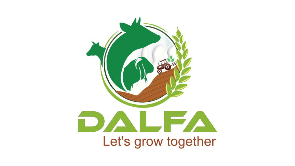 Official Partner 4
